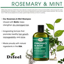 Difeel Rosemary & Mint Shampoo Infused with Biotin 12oz